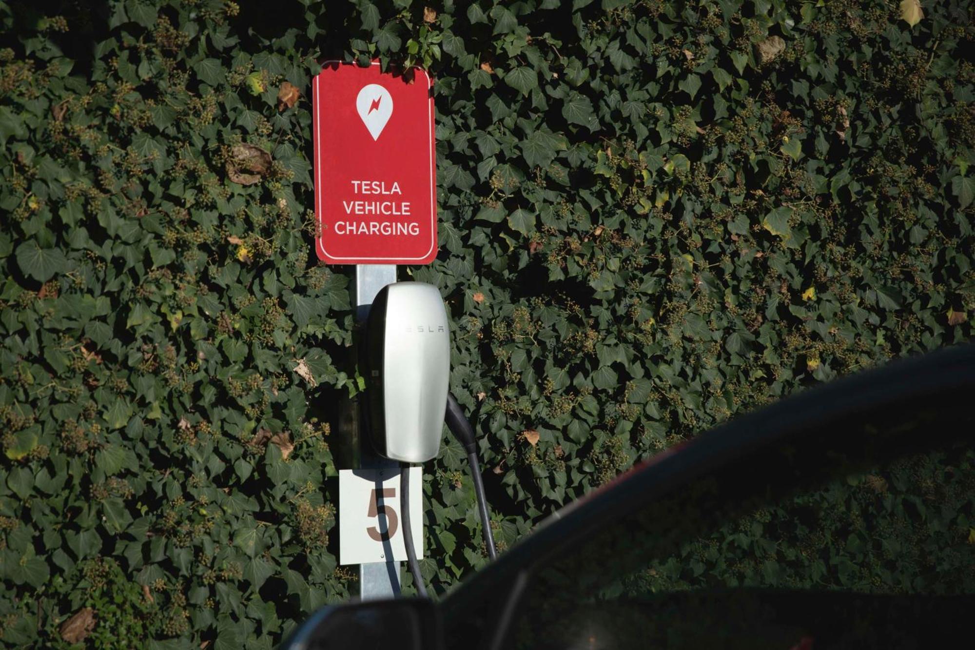 Best Western Plus Park Hotel Pordenone Eksteriør billede